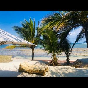 Meet your Posher, Bethany